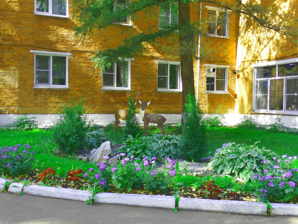 терртория 2.JPG